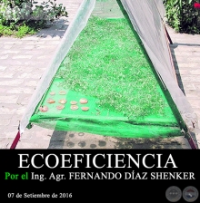ECOEFICIENCIA - Ing. Agr. FERNANDO DÍAZ SHENKER - 07 de Setiembre de 2016